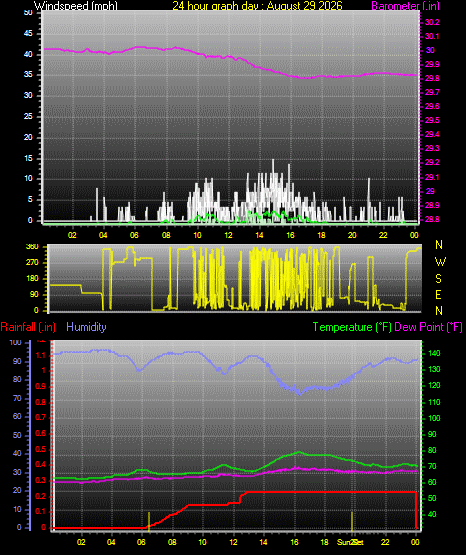 24 Hour Graph for Day 29